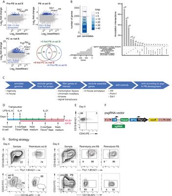 Comprehensive CRISPR-Cas9 screen identifies factors which are important for plasmablast development